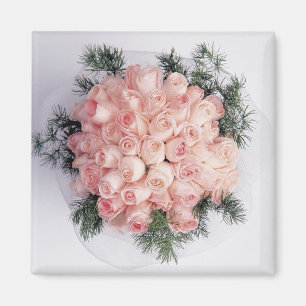 Perfect Pink Roses Magnets
