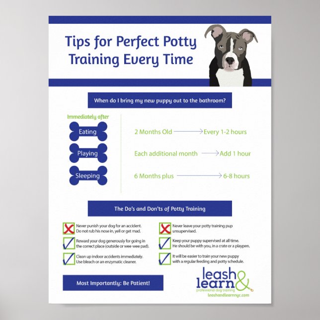 Perfect Puppy Potty Training Poster (Front)
