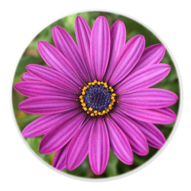 Perfect Purple Flower Ceramic Knob (Front)