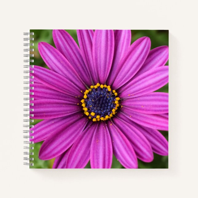 Perfect Purple Flower Head Notebook (Front)