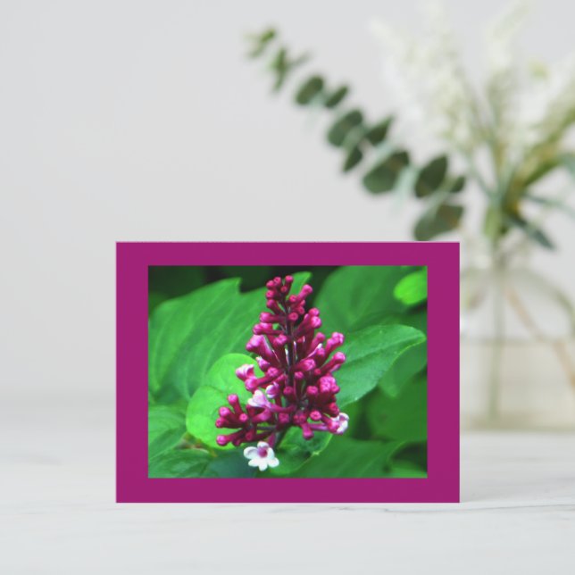 Perfect Purple Wildflower Postcard (Standing Front)