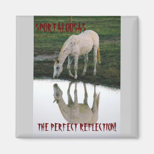 Perfect Reflection.. Magnet