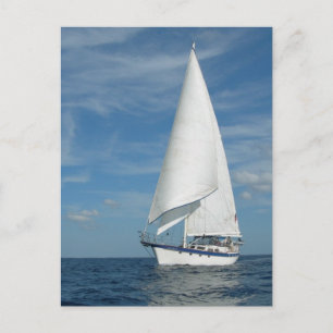 Perfect Sail Postcard