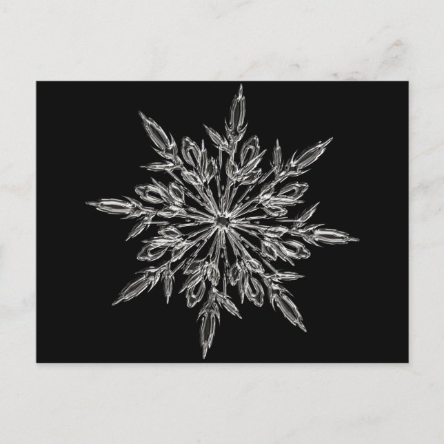 Perfect Snowflake for the Christmas Holiday (Front)