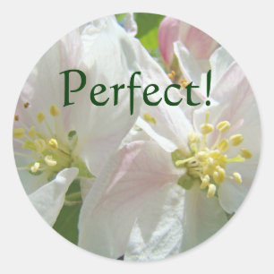 Perfect! stickers custom Apple Blossoms Flowers