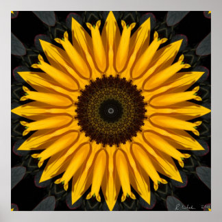 Perfect Sunflower Poster