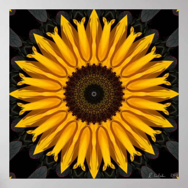 Perfect Sunflower Poster (Front)