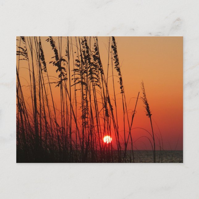 Perfect  Sunset Postcard (Front)