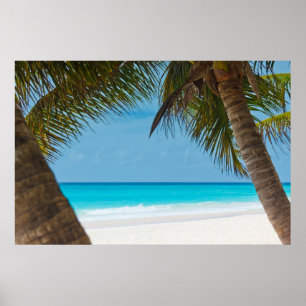 Perfect Tropical Paradise Beach Poster
