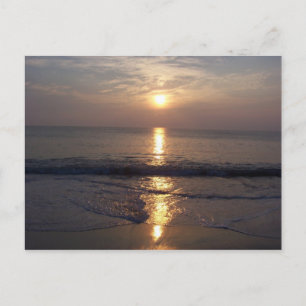 Perfect Waves Postcard