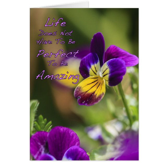 Perfectly Amazing Life (Front)