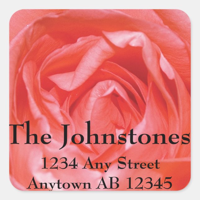 Perfectly Pink Rose Wedding Return Address Label (Front)