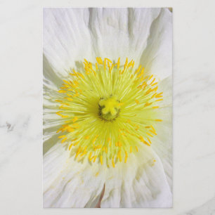 Perfectly Poppy Stationery