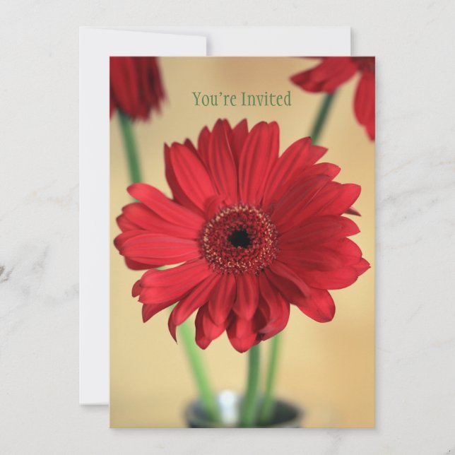 Perfectly Pretty Invitation (Front)