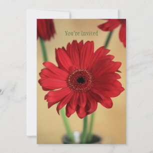 Perfectly Pretty Invitation