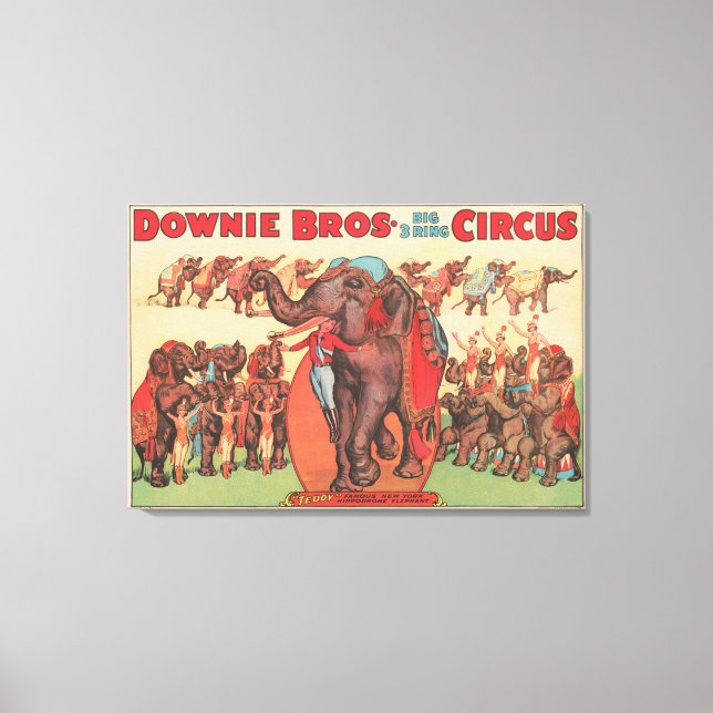 Performing Elephants With Women And Trainer. Canvas Print (Front)