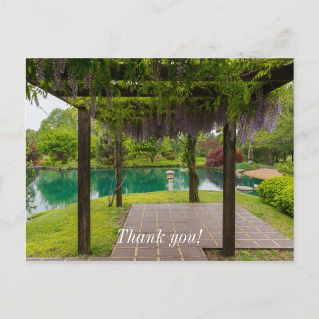 Pergola Of Wisteria Postcard (Front)