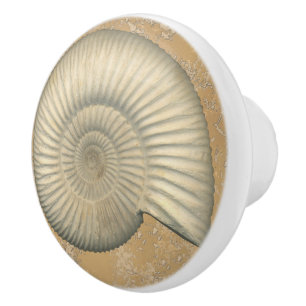 Perisphinctes Ammonite Ceramic Knob