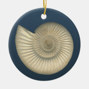 Perisphinctes Ammonite Ceramic Tree Decoration