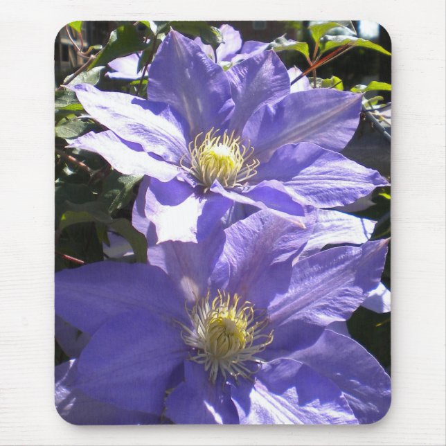 Periwinkle Clematis Mousepad (Front)