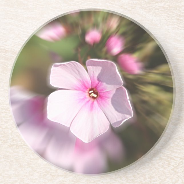 Periwinkle Coaster (Front)