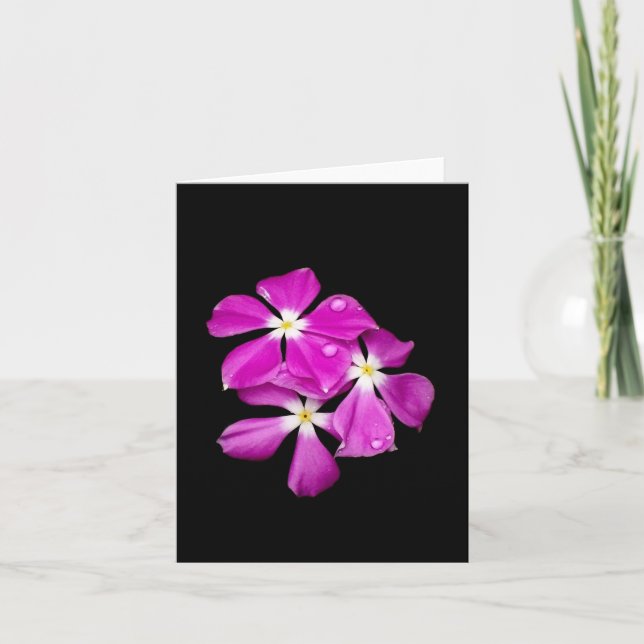 'Periwinkle Flowers After Rainfall' Blank Card (Front)