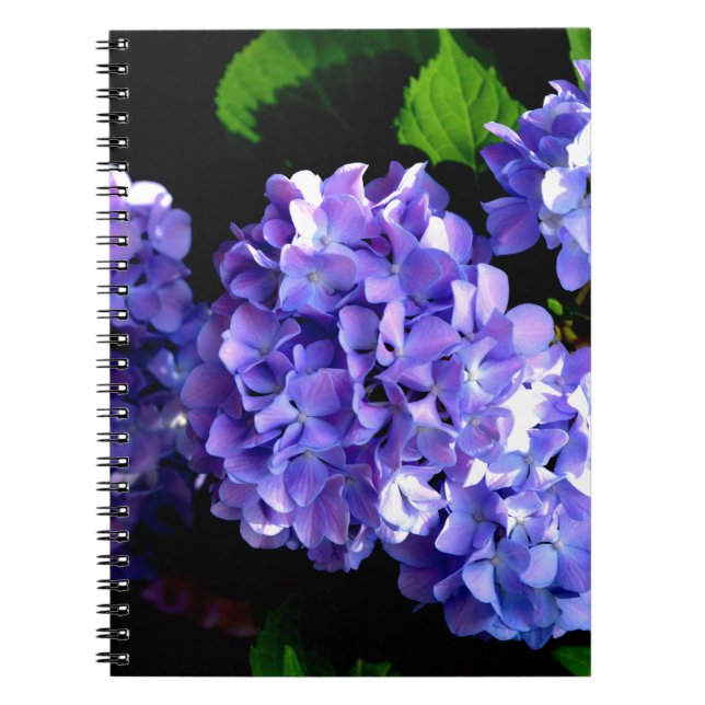 Periwinkle hydrangeas purple blue flower floral notebook (Front)