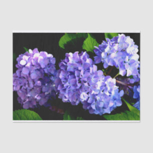 Periwinkle hydrangeas purple blue flower floral tissue paper
