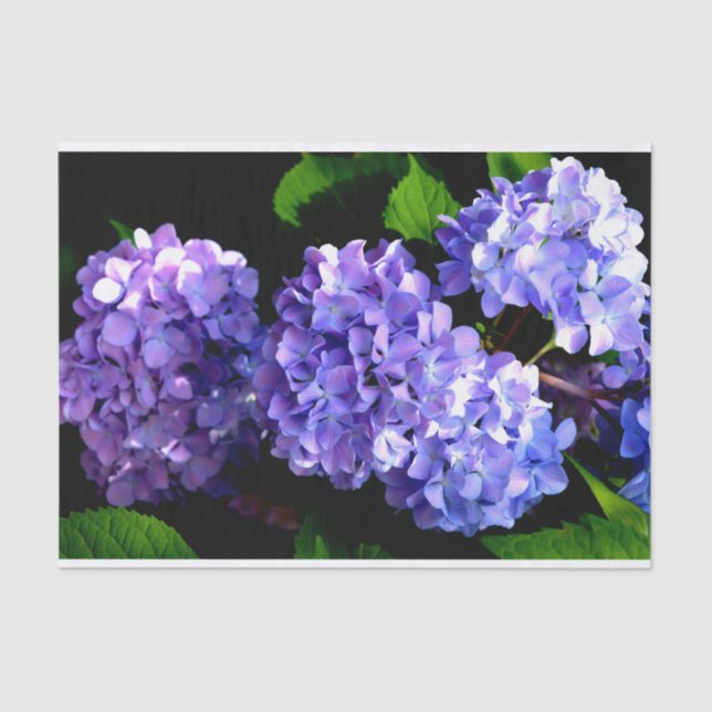 Periwinkle hydrangeas purple blue flower floral tissue paper (Front)