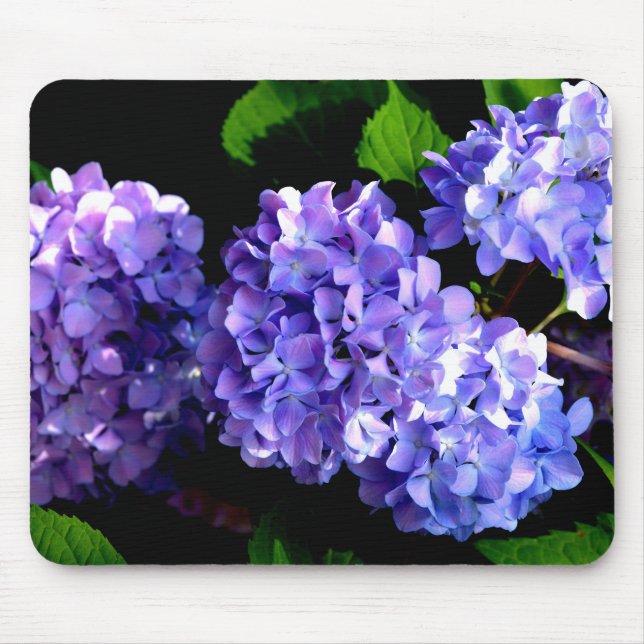 Periwinkle hydrangeas purple flowers blue flowers mouse mat (Front)