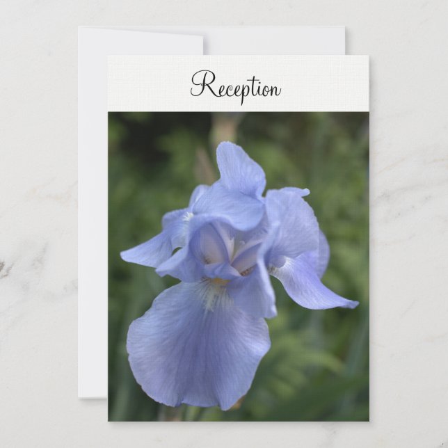 Periwinkle Iris Floral Wedding Reception Invitation (Front)