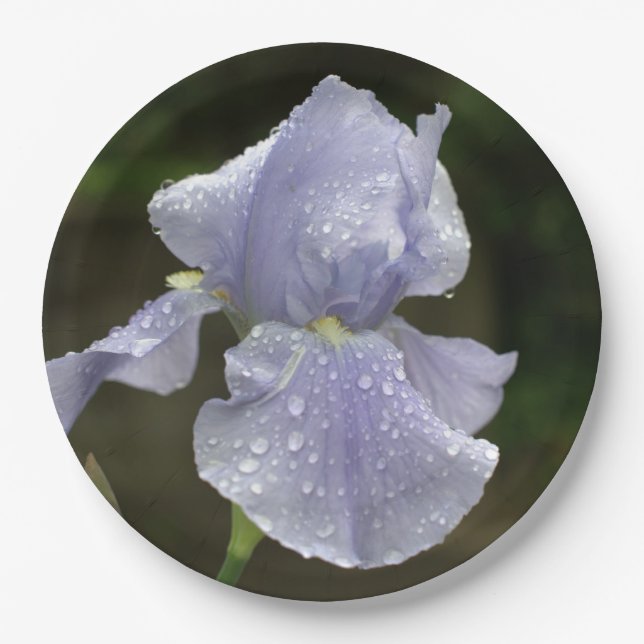 Periwinkle Iris Flowers with Raindrops Paper Plate (Front)