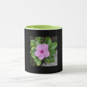 Periwinkle Mug