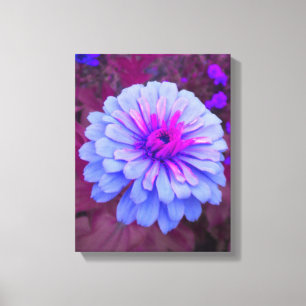 Periwinkle N Pink Zinnia Wrapped Canvas