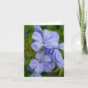 Periwinkle Note Card