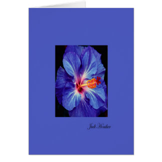 Periwinkle~One of the Most Worn Colours