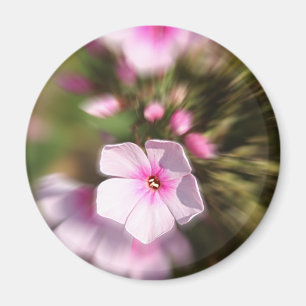 Periwinkle Zoom Magnet