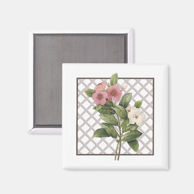PERIWINKLES MAGNET (Front/Back)