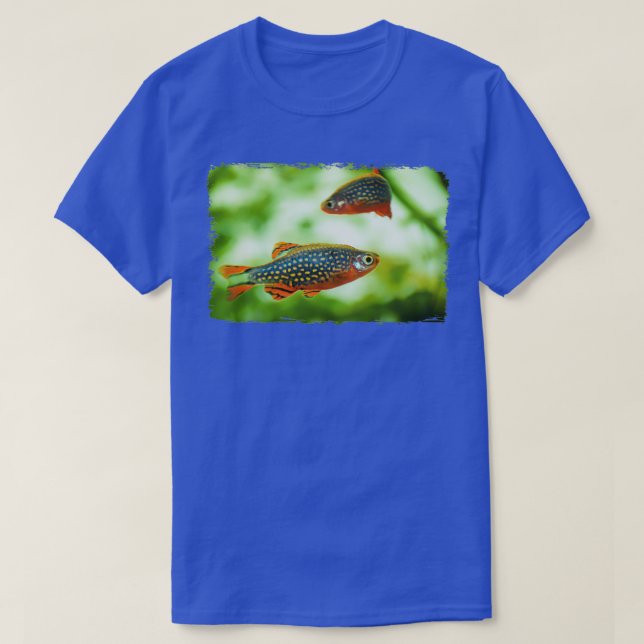 Perlhuhnbrbling Karpfenfisch Danio margaritatus Fr T-Shirt (Design Front)