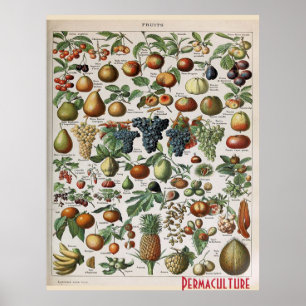 Permaculture Farms Fruits , personalise Poster