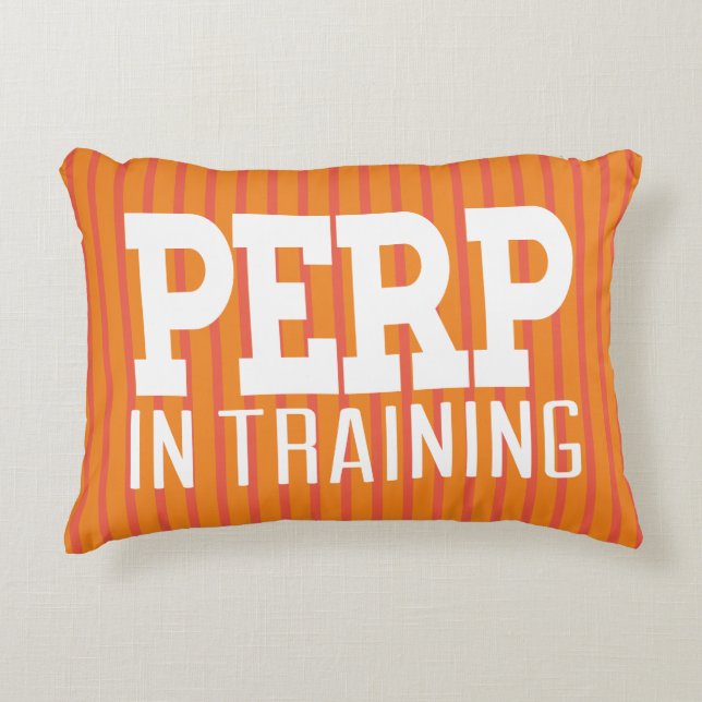 Perp in training White Gfx Stripes Decorative Cushion (Front)