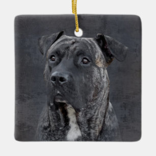 Perro de Presa Canario - Dogo Canario Ceramic Ornament