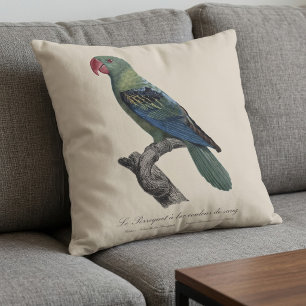 Perroquet a bec couleur sang / Great-billed parrot Cushion
