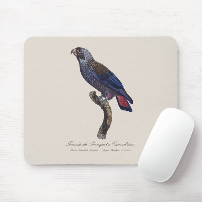 Perroquet a Camail bleu / Dusky parrot  Mouse Mat (With Mouse)