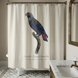 Perroquet a Camail bleu / Dusky parrot  Shower Curtain