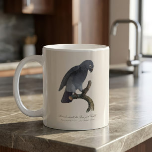 Perroquet Cendre / Timneh African grey parrot   Coffee Mug