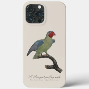 Perroquet geoffroy male / Red cheeked Parrot  iPhone 13 Pro Max Case