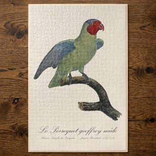 Perroquet geoffroy male / Red cheeked Parrot  Jigsaw Puzzle
