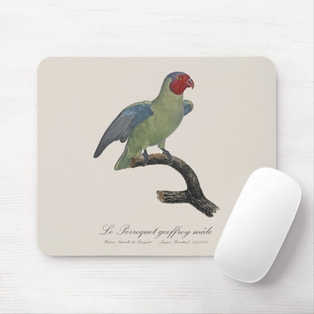 Perroquet geoffroy male / Red cheeked Parrot  Mouse Mat (With Mouse)