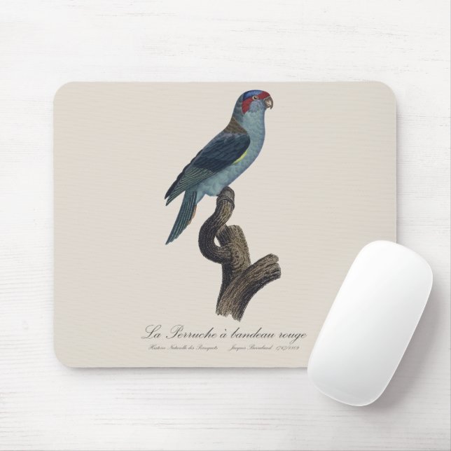 Perruche a bandeau rouge / Musk Lorikeet  Mouse Mat (With Mouse)